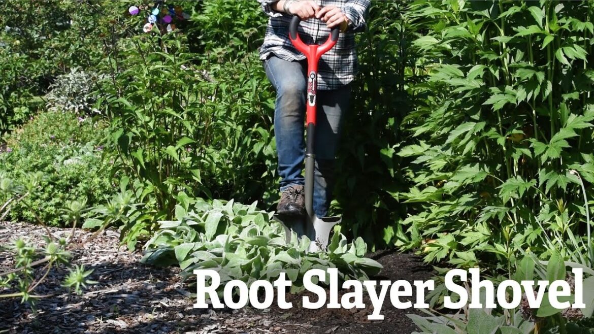 A Closer Look At The Root Slayer Shovel | Gardener’s Supply A Closer Look At The Root Slayer Shovel | Gardener's Supply