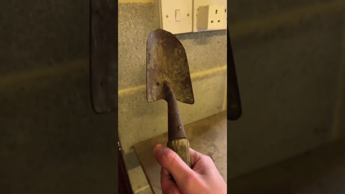 Gardening With Ivysaur.. | Pokémon GO