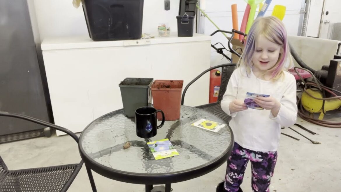 Episode 8   Following Abby as she picks what to plant