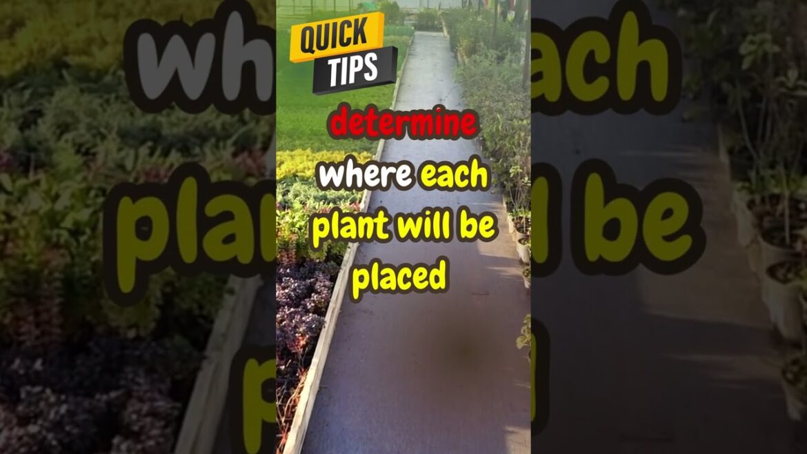 FREE Gardening Hacks and QUICK TIPS # 45 🌱 @RockyMountainBioAg ​