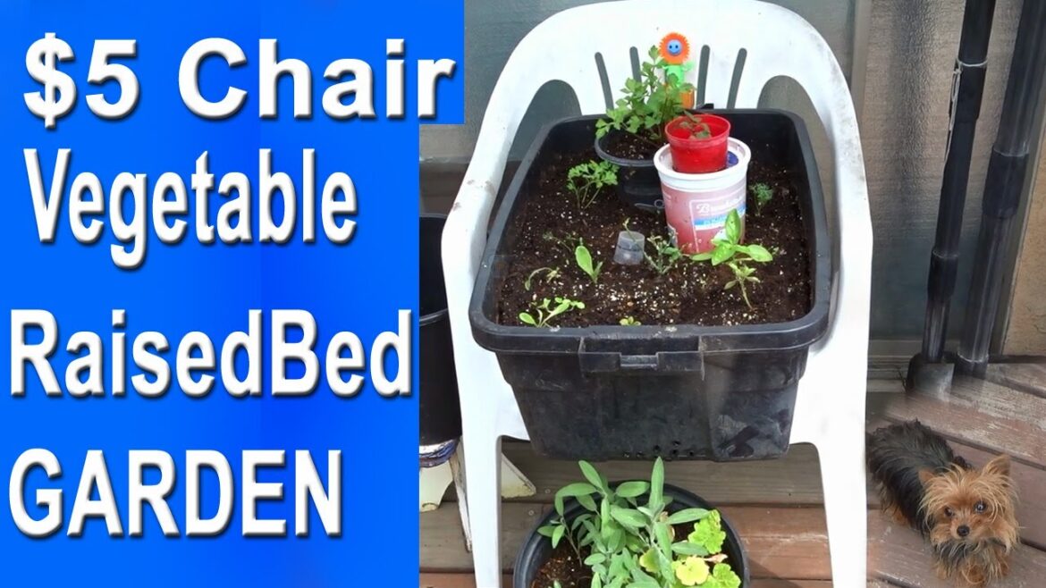 How to Make Soil CHEAP & EASY in Container Garden Raised Bed Grow LOTS of Vegetables in Small Spaces How to Make Soil CHEAP & EASY in Container Garden Raised Bed Grow LOTS of Vegetables in Small Spaces