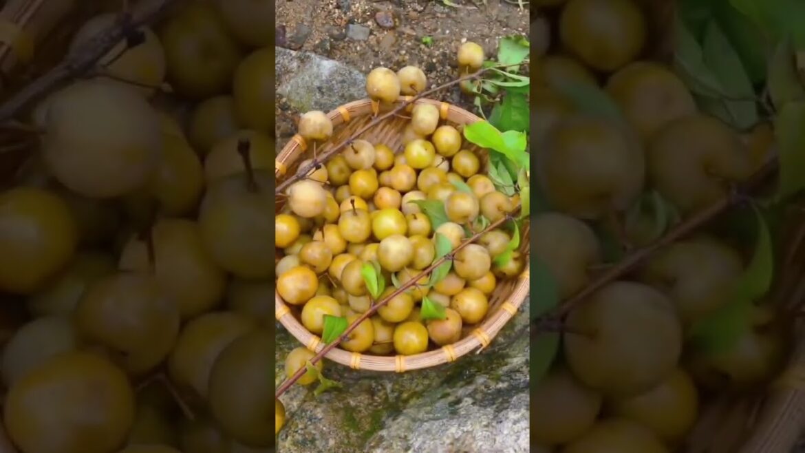 Presentation fruit in Farm, Eat fresh fruit on trees part 160 #short #fruit Presentation fruit in Farm, Eat fresh fruit on trees part 160 #short #fruit