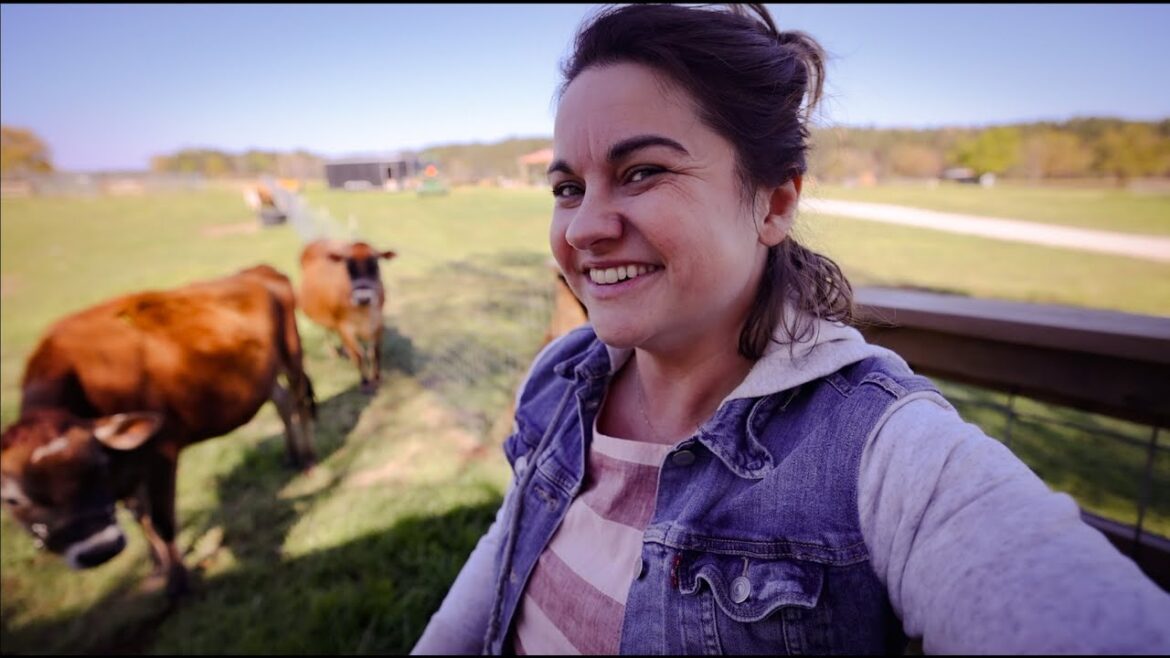 Roots and Refuge Farm: I missed the birth. (our new calf) | VLOG I missed the birth. (our new calf) | VLOG