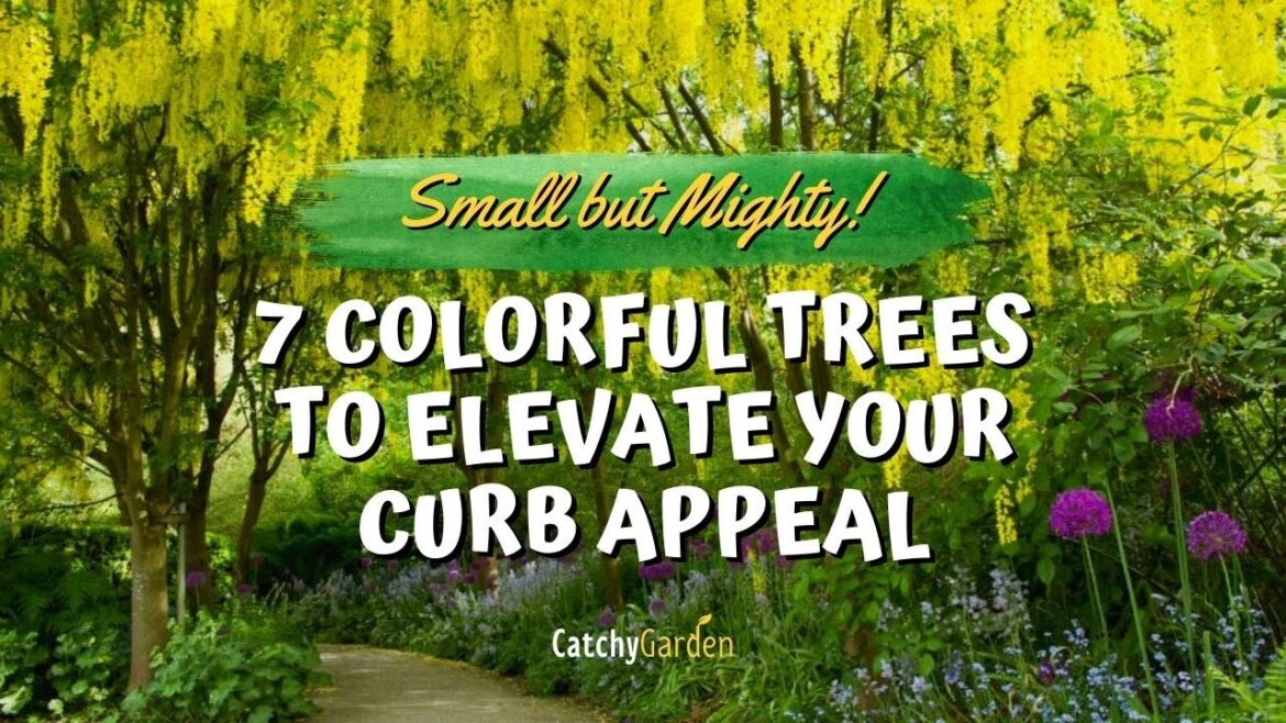 Small but Mighty: 7 Colorful Trees to Elevate Your Curb Appeal 🌲🍁🌳