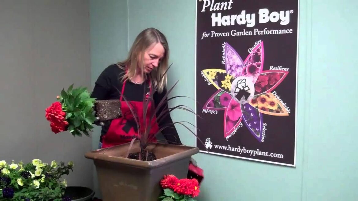 How to plant the perfect container garden or patio pot from Hardy Boy Plants