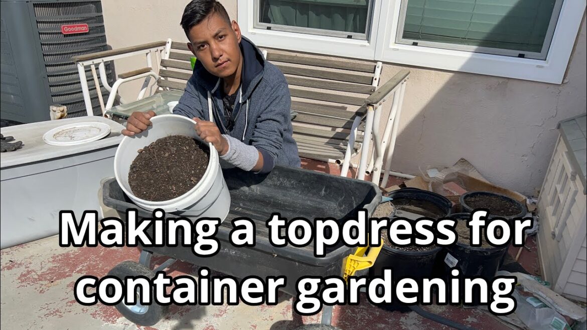 How to make a top dress for your container garden easily and simple How to make a top dress for your container garden easily and simple