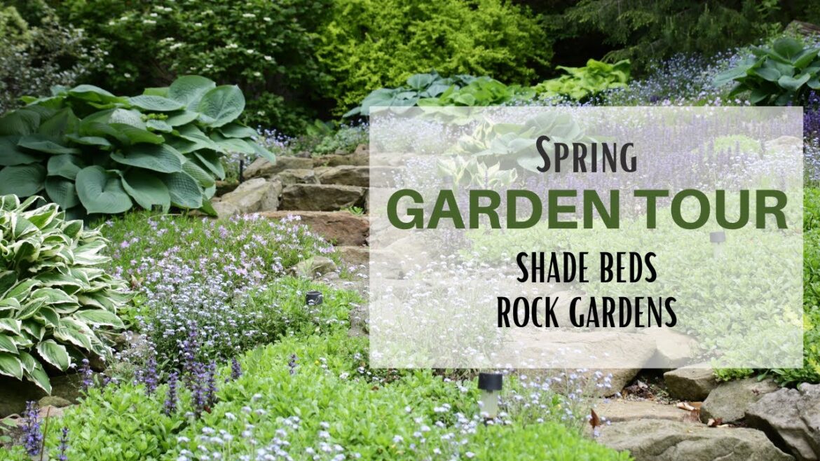 Rock Garden Tour ~ Shade Garden Ideas ~ Rock Garden Ideas ~ Shade Plants ~ Spring Garden Tour