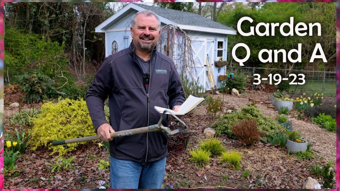 Great Garden Questions Answered – Dividing Perennials, Mulching Around Flower Bulbs, Compost Great Garden Questions Answered - Dividing Perennials, Mulching Around Flower Bulbs, Compost