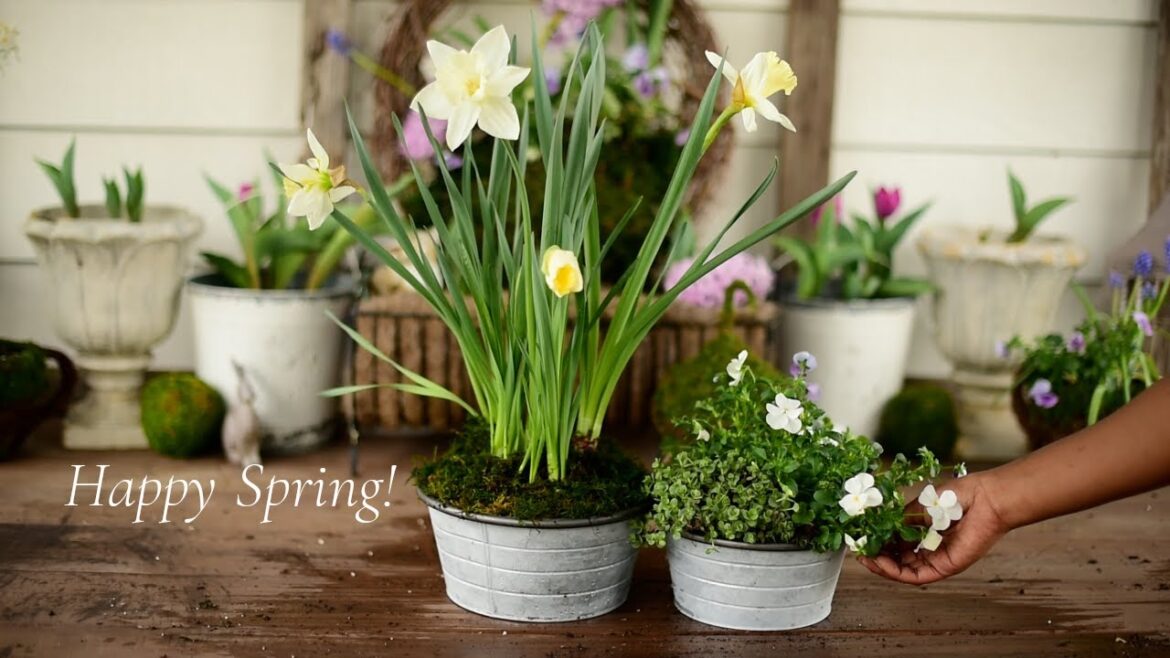 10 Spring Container Garden Ideas | Happy First Day Of Spring!