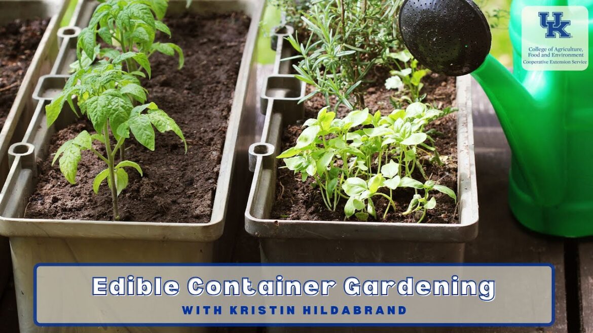 Edible Container Gardening Edible Container Gardening