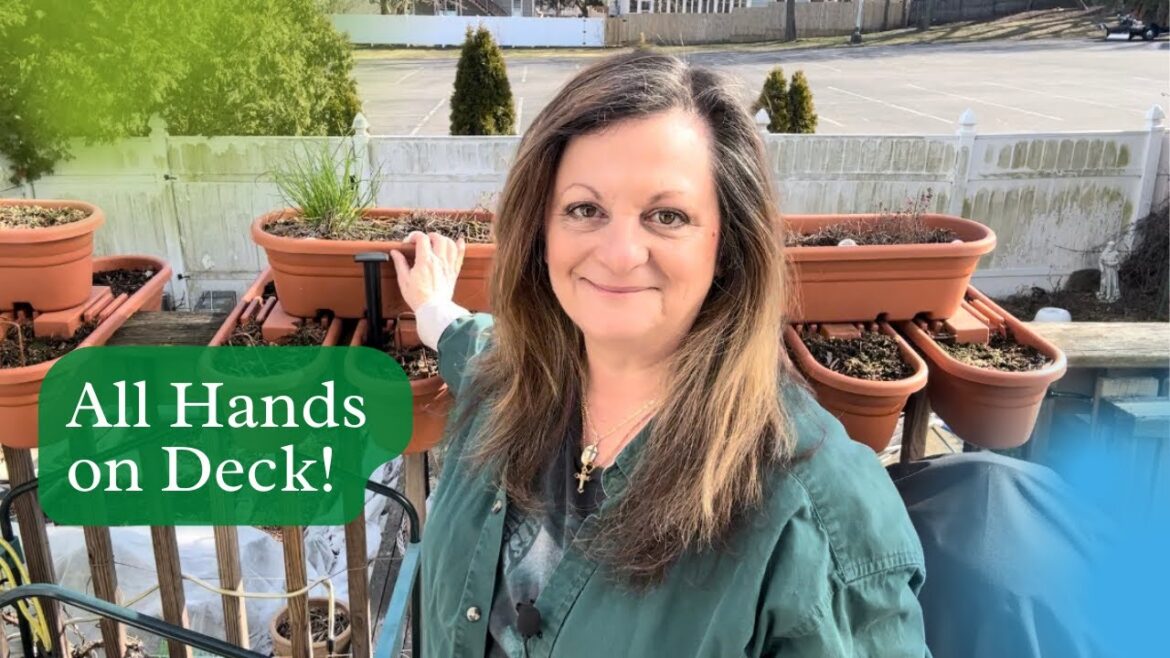 Spring Container Gardening | How to Prep Containers for Spring Planting Spring Container Gardening | How to Prep Containers for Spring Planting