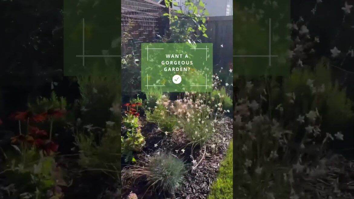 Expert Tips for Planning a Gorgeous Garden | Create Your Dream Outdoor Space