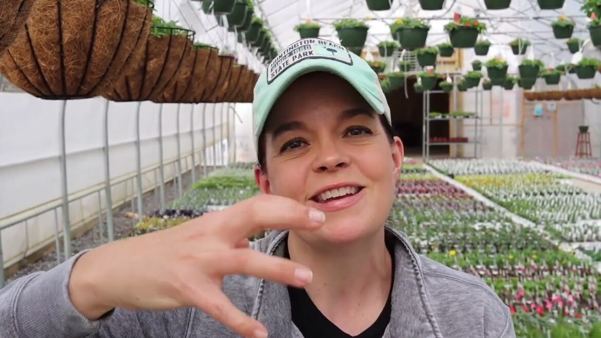 Nursery Tour of Flowering Annuals | Gardening with Creekside