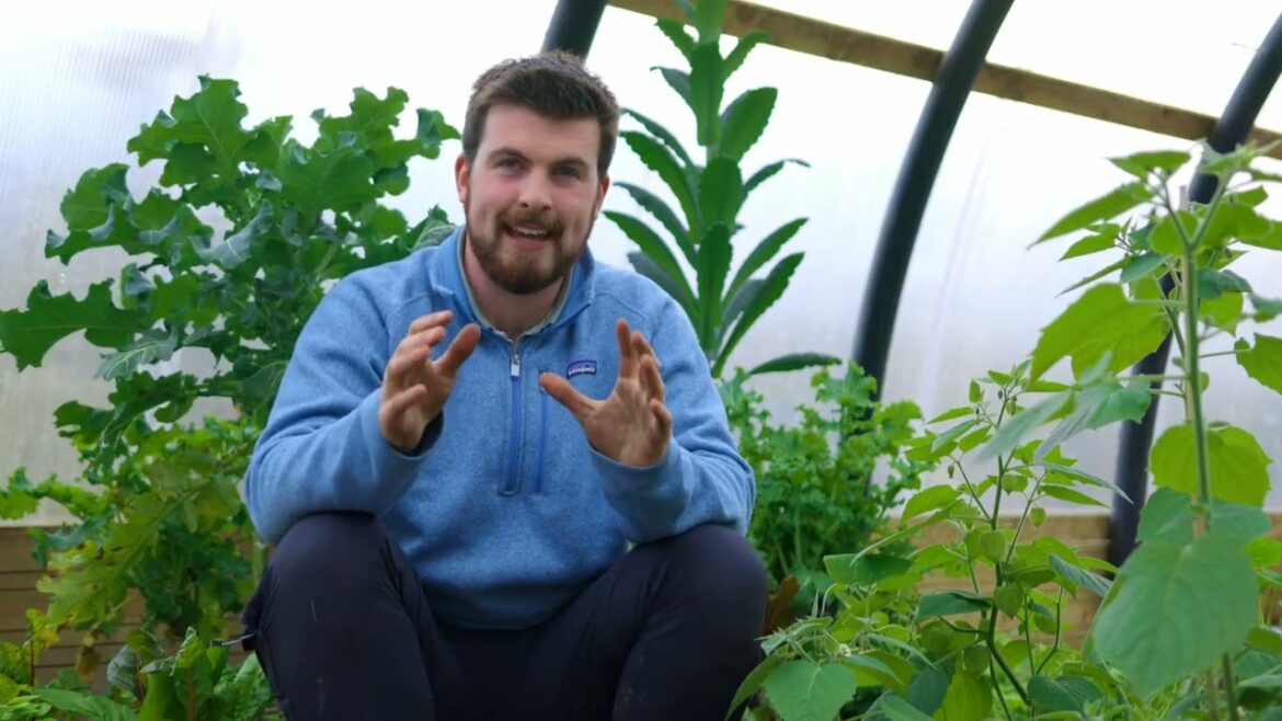 🔴 Gardeners' World 2023 | 🍀 7 Most Productive Edible Crops to Sow in February 2023