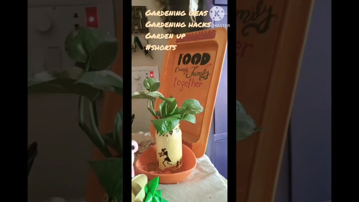 Gardening hacks/garden up/beginners gardening#shortvideo# #youtubeshorts#dailyvlog#shorts Gardening hacks/garden up/beginners gardening#shortvideo# #youtubeshorts#dailyvlog#shorts