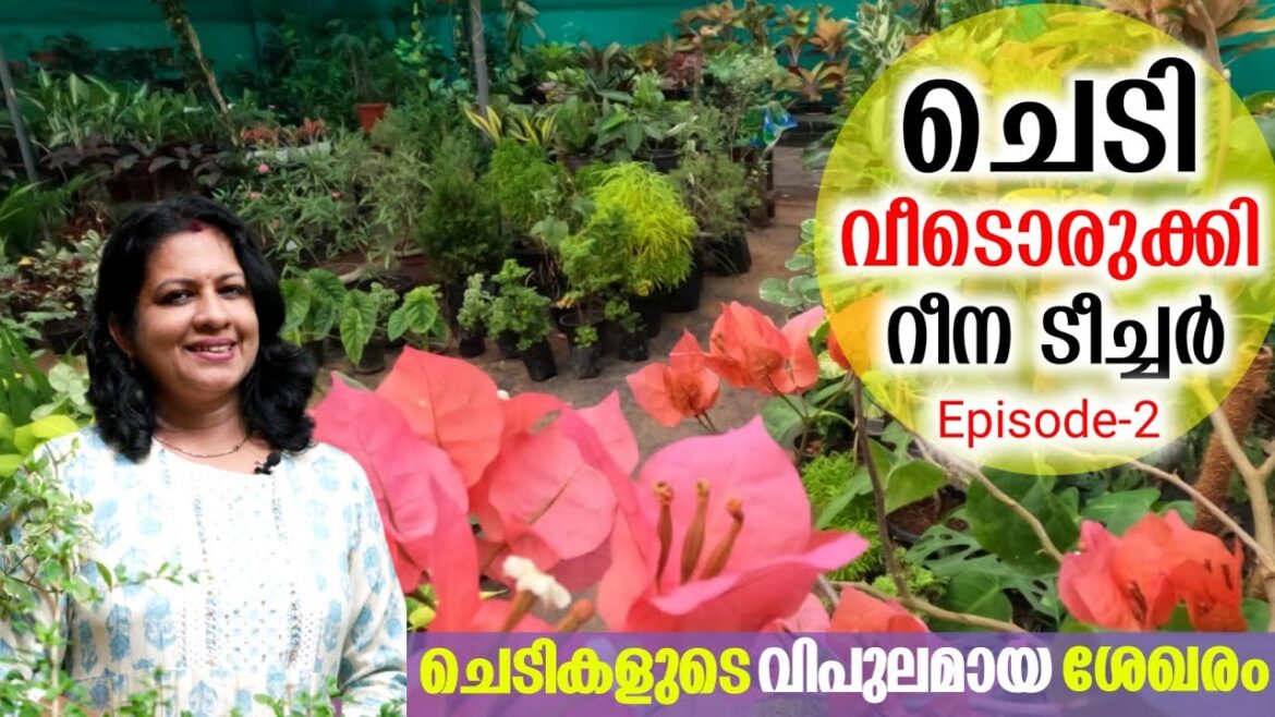 Home Garden Tour Malayalam | Beautiful Home Garden Tour | Home Garden Ideas | Chedi Veedu Episode-2