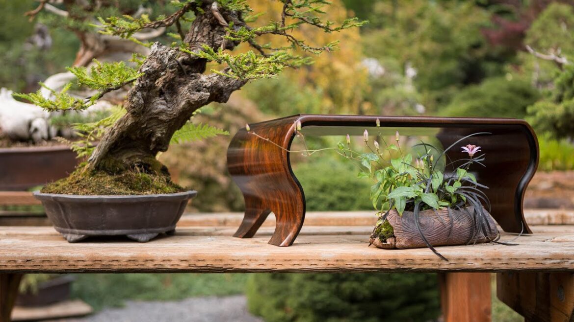 Bonsai Display Fundamentals Bonsai Display Fundamentals