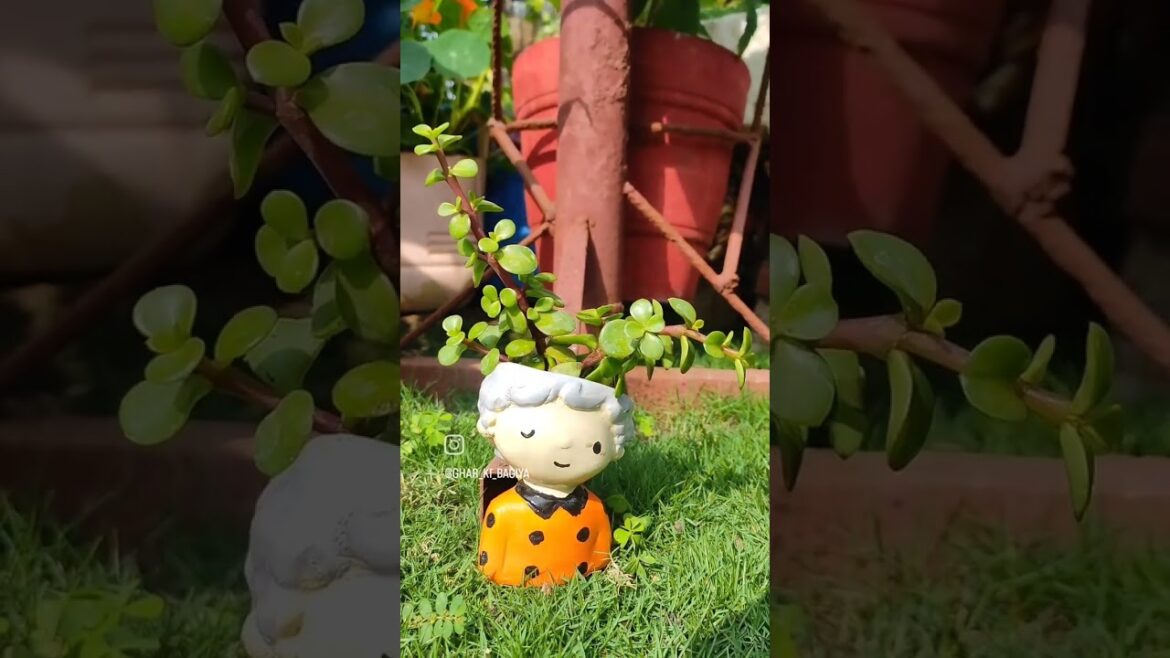 gardening tips and ideas, gardening love, natural lover