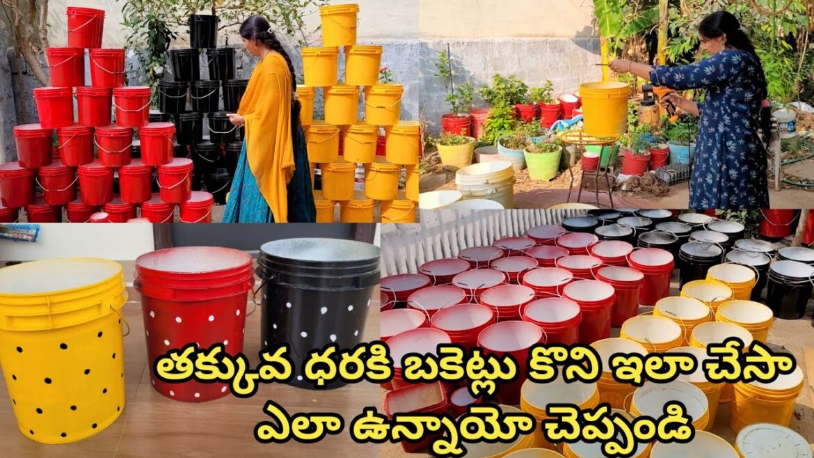 cheapest pots for gardening | curd buckets craft ideas | gardening ideas for home in telugu