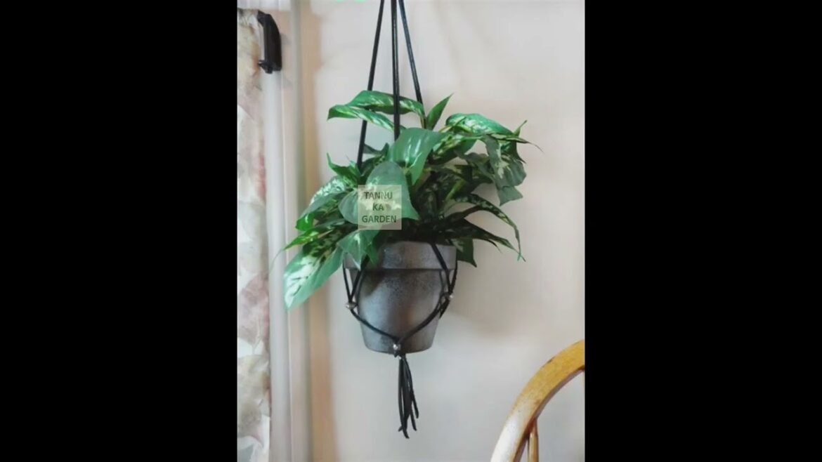 Hanging pot planting ideas part II | #viral #shorts #garden