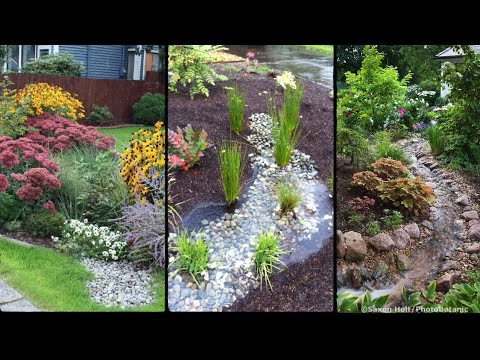 Rain garden,front yard,backyard and landscaping ideas Rain garden,front yard,backyard and landscaping ideas