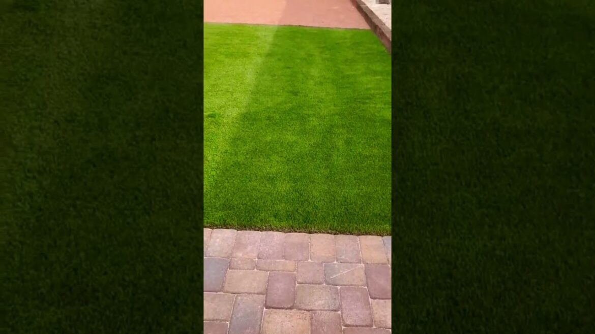 #TheAteam #lasvegas #uplighting #Bobcat #s70 #outdoorlivingspace (Arrietas Landscaping)