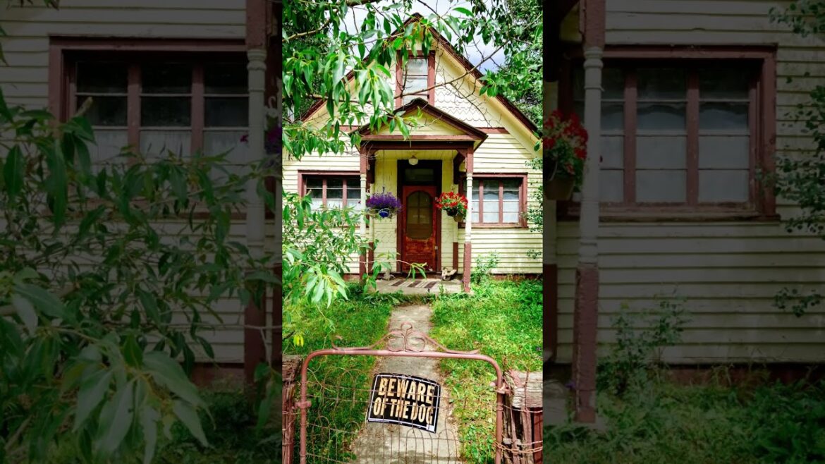 house garden design ideas house garden design ideas