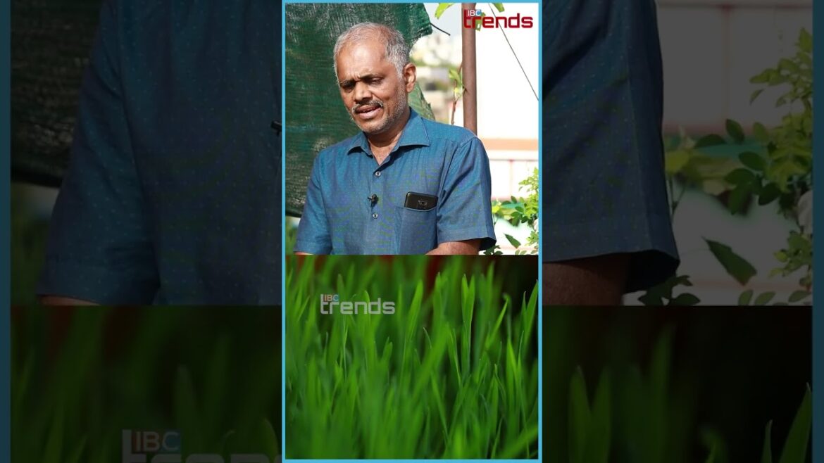 இதை daily சாப்பிட்டால் hemoglobin increase ஆகும் ! இதை daily சாப்பிட்டால் hemoglobin increase ஆகும் !