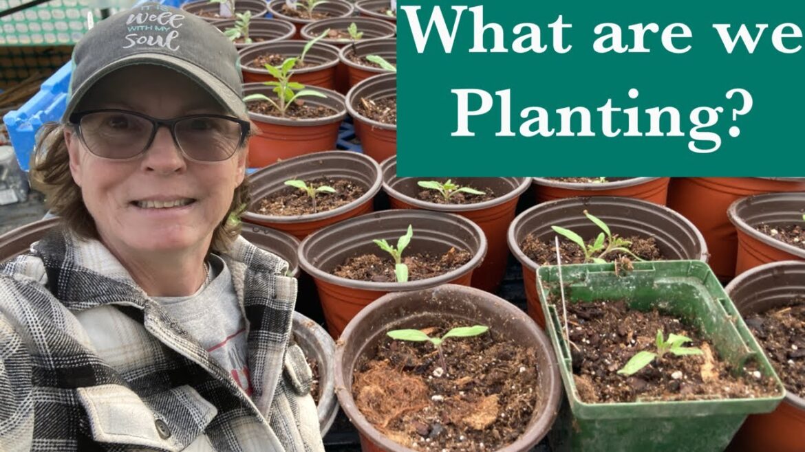 What Veggies Are you Growing? Close call last night! What Veggies Are you Growing? Close call last night!