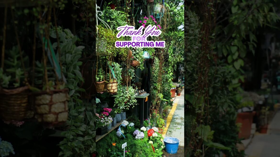 My Top 30 Gardening Tips in 30 Days