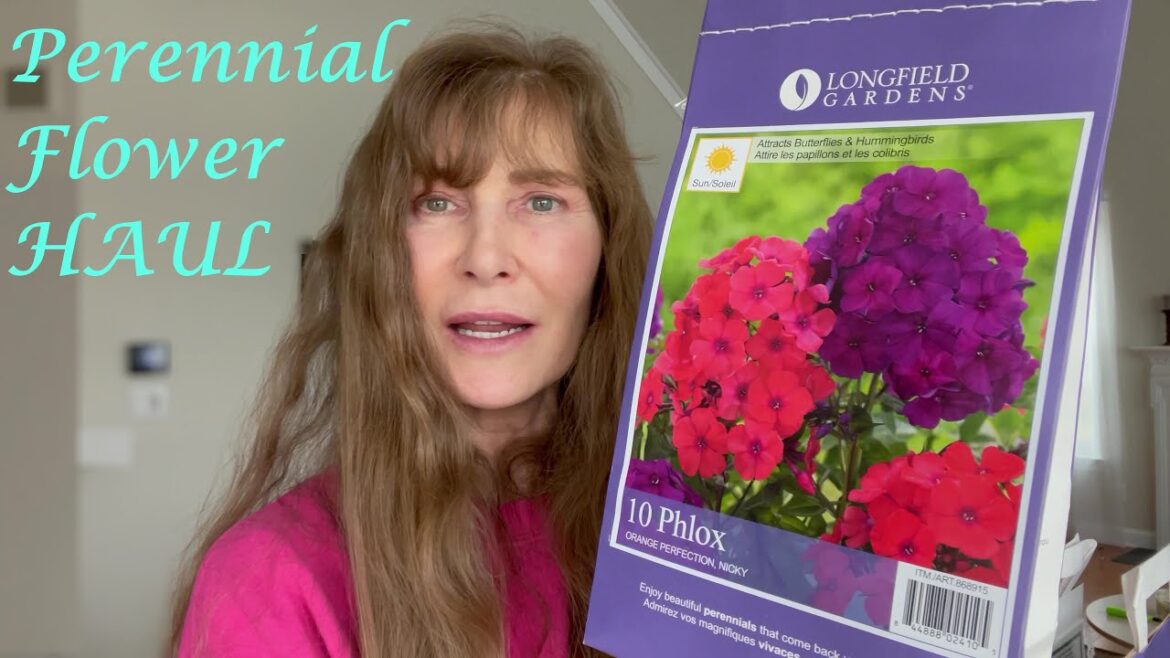 Investing in the Perennial Flower Garden