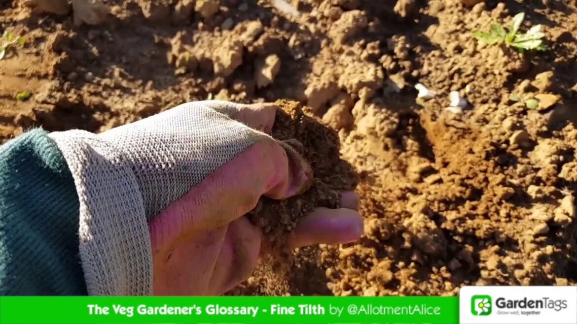 Fine Tilth - The Veg Gardener's Glossary