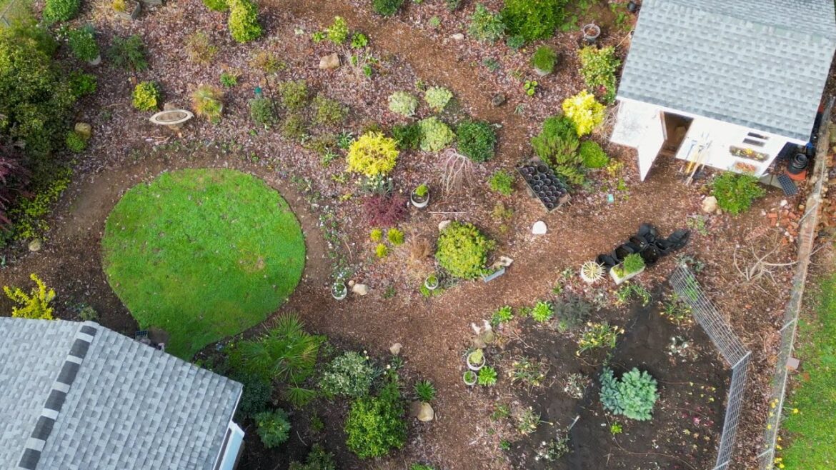 Garden Redesign Garden Redesign