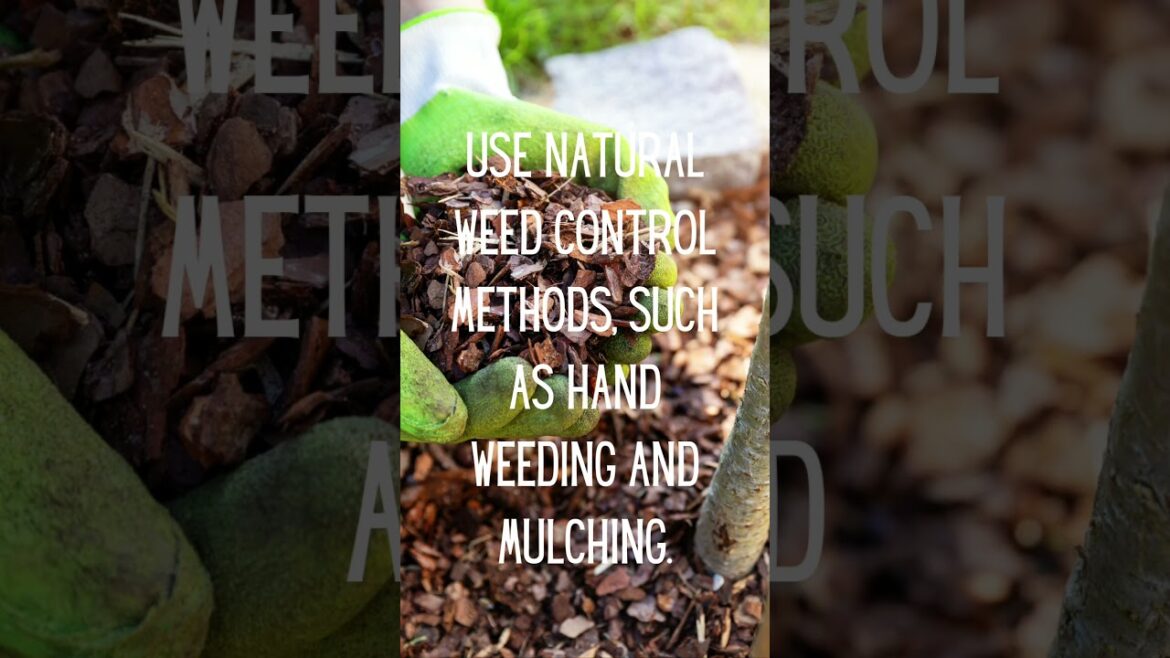 My Top 30 Gardening Tips in 30 Days