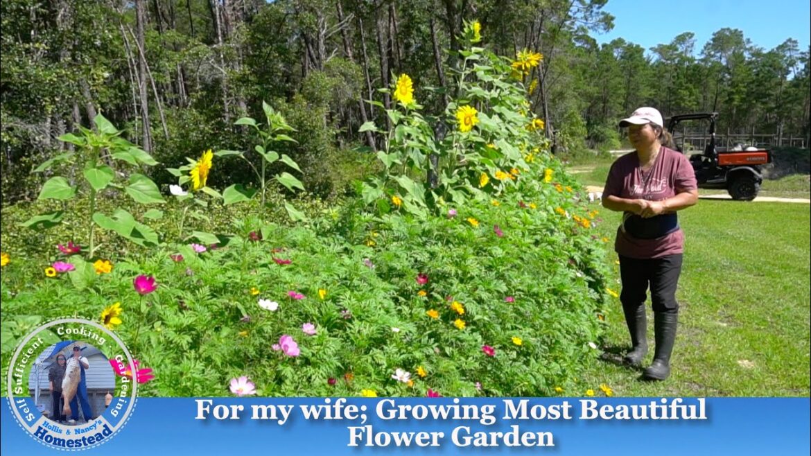 How I Planted New Flower Garden for my wife