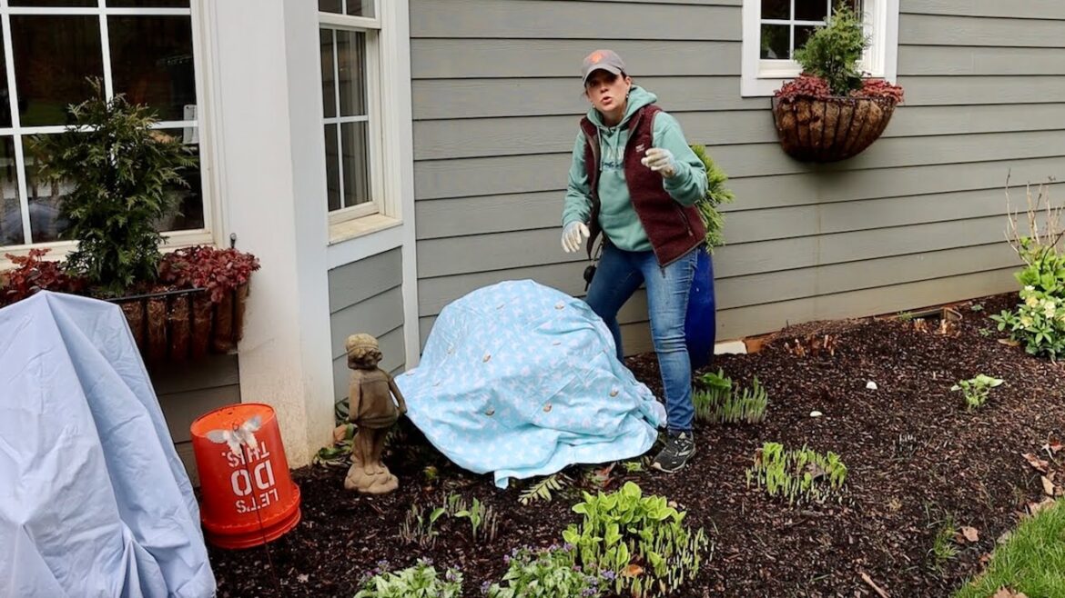 How To Protect Your Plants From A Freeze | Gardening with Creekside How To Protect Your Plants From A Freeze | Gardening with Creekside