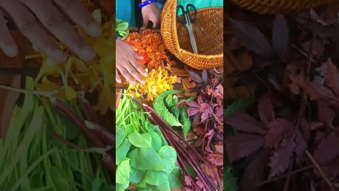 Harvesting Organic Vegetables Harvest #shorts #garden #harvest