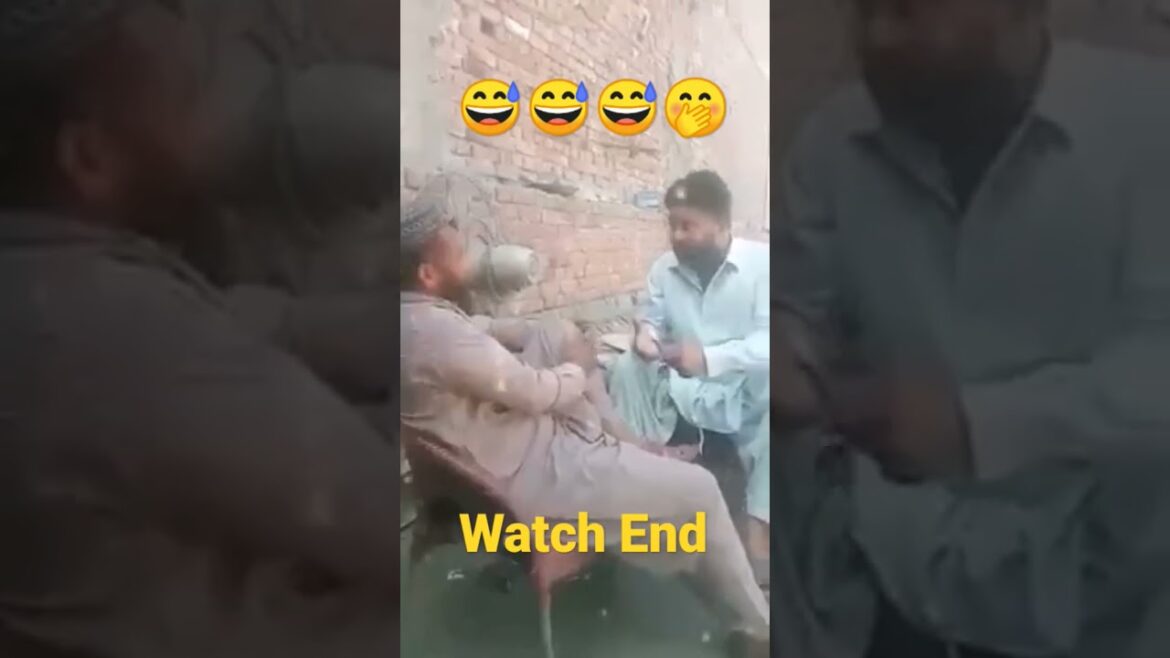 #shorts #CatLadyDanceParty#FelineFrenzy#CatsGoneWild#PurrfectMoves#MeowMadness#KittyCrazinest