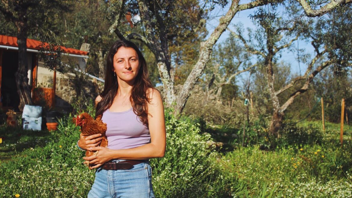 What to sow in March for a Cottage Garden. What to sow in March for a Cottage Garden.