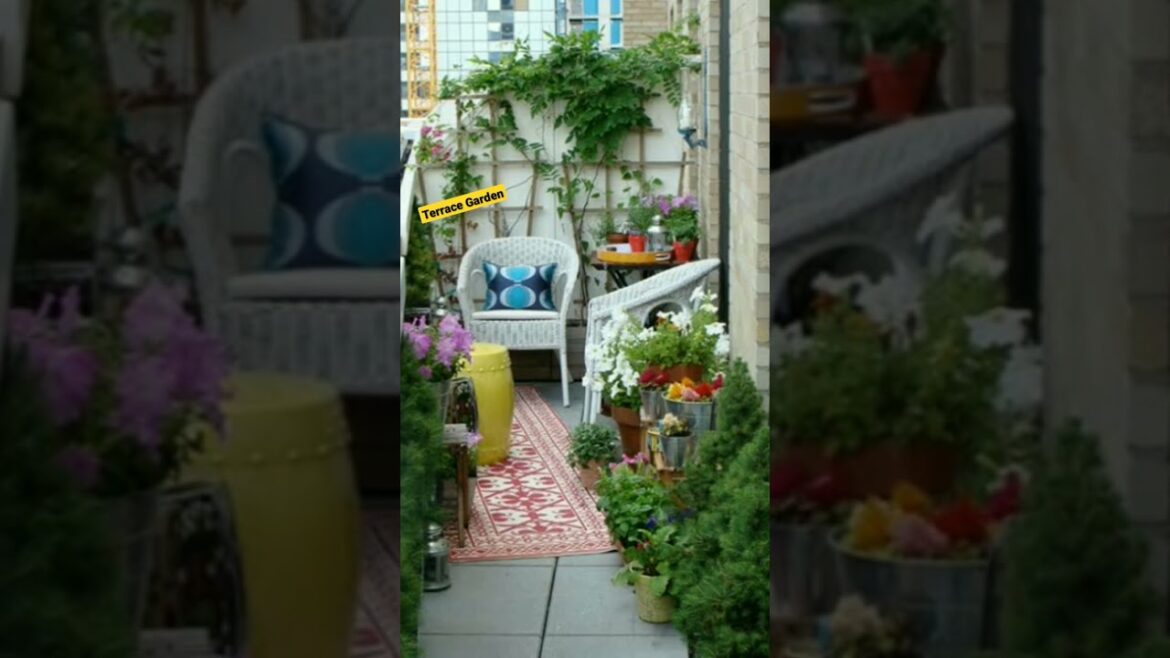 plants, gardening ideas for home, gardening, kitchen garden, grow bag, garden tour