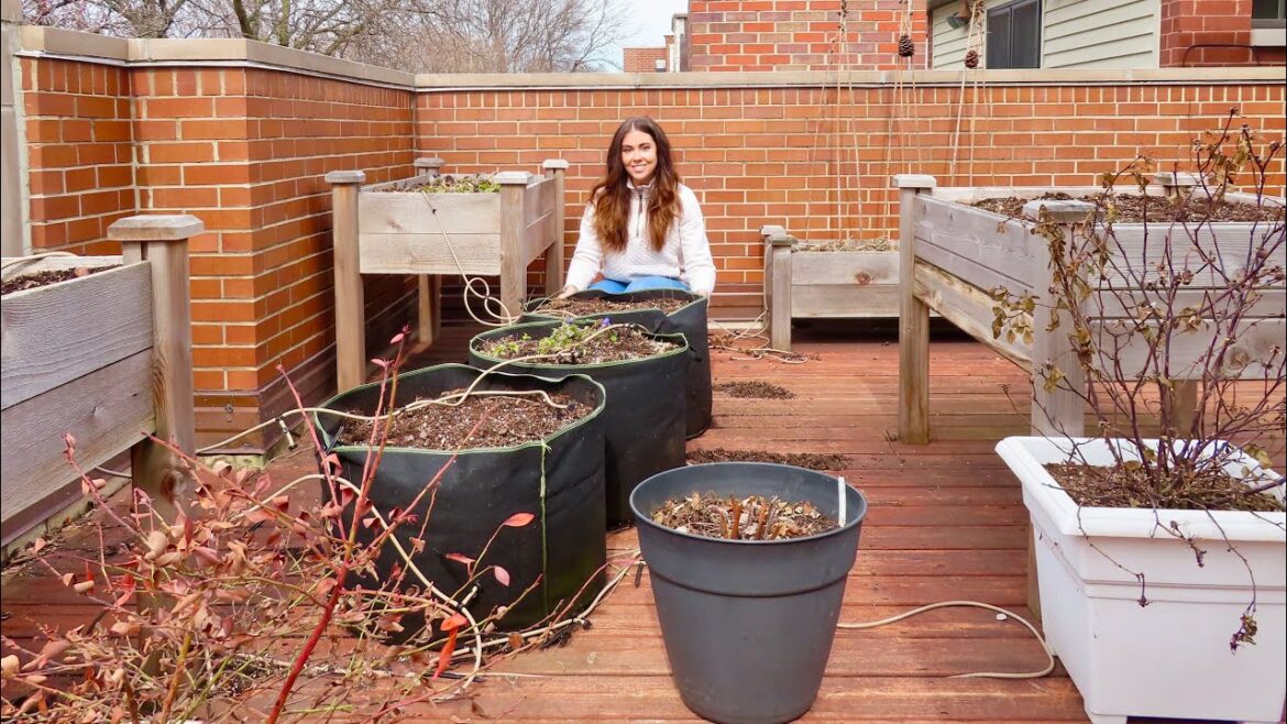 All The Containers I Use In My Garden | Rooftop Deck Gardening