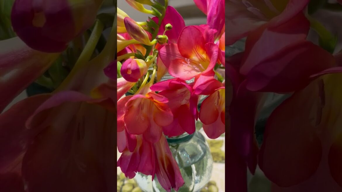 Beautiful DIY Centerpiece: Freesia Flowers from Backyard Garden #howto #shorts #DIY #gardening