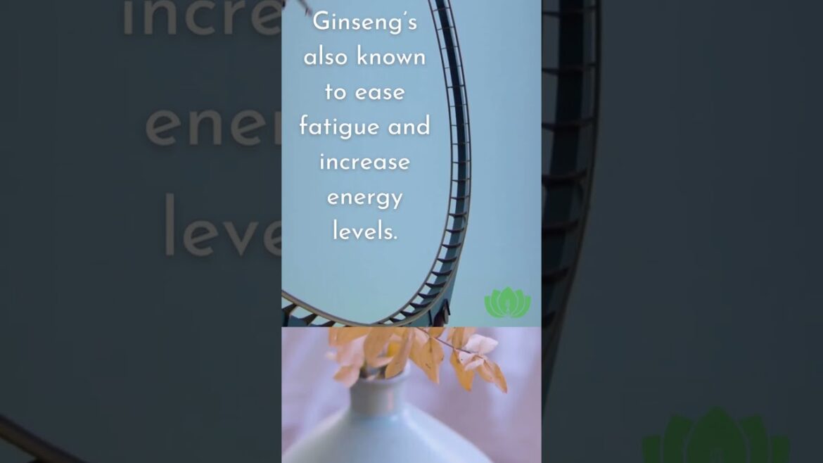 The Health Benefits of Ginseng The Health Benefits of Ginseng