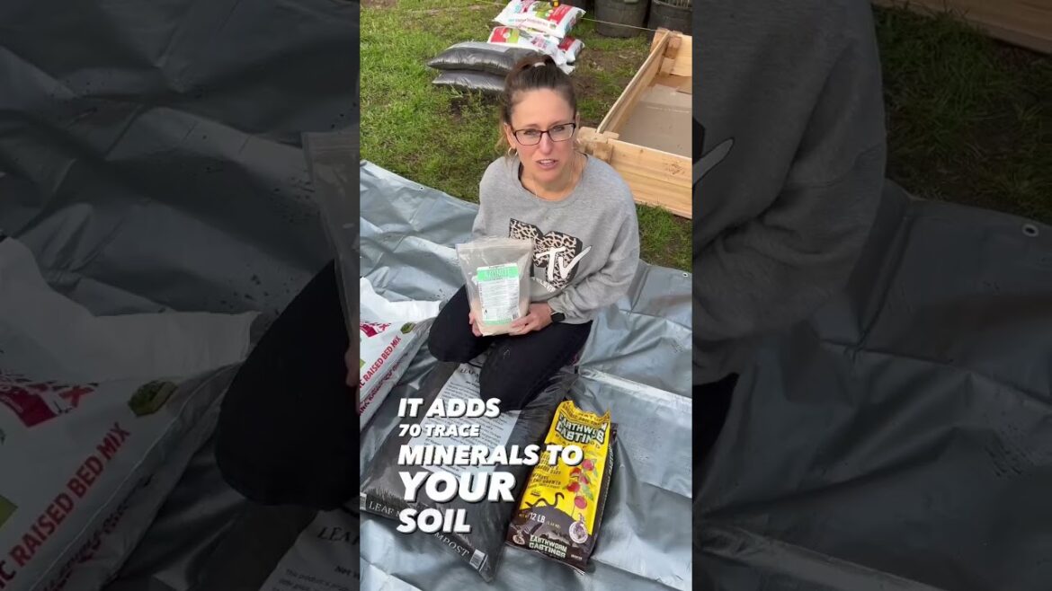 Simple Soil Boost | Garden Tips | How-To For Beginners