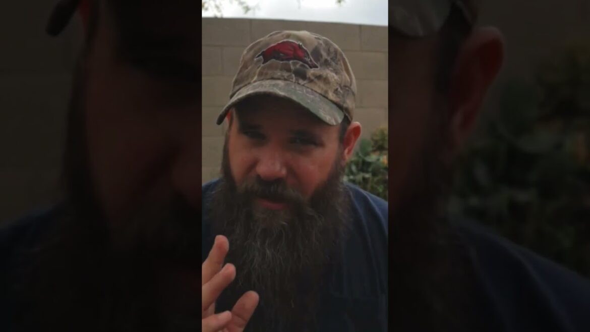 Garden and homestead update. Growing fewer varieties for more harvest #vlog #garden #lifestyle Garden and homestead update. Growing fewer varieties for more harvest #vlog #garden #lifestyle