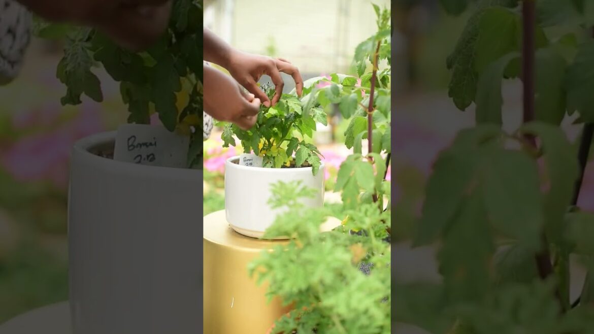 gentle reminder: grow what makes you happy… #motivation gentle reminder: grow what makes you happy... #motivation