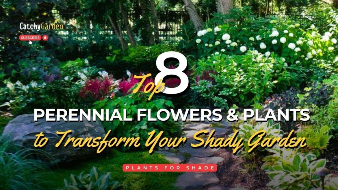 Transform Your Shady Garden with these 8 Perennial Flowers and Plants 🌷🌿