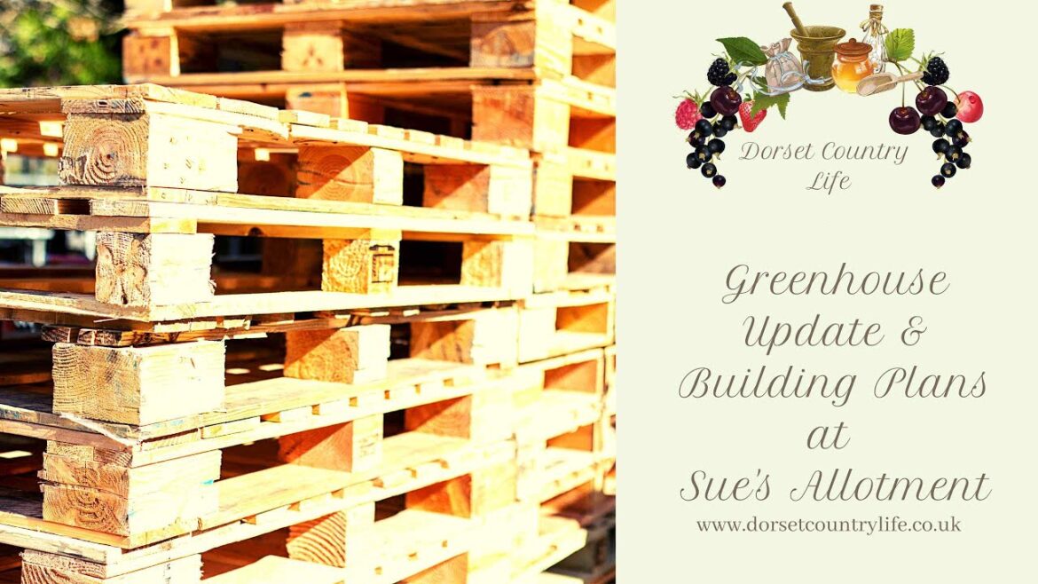 Greenhouse Update and Building Plans | Sue's Allotment 2023