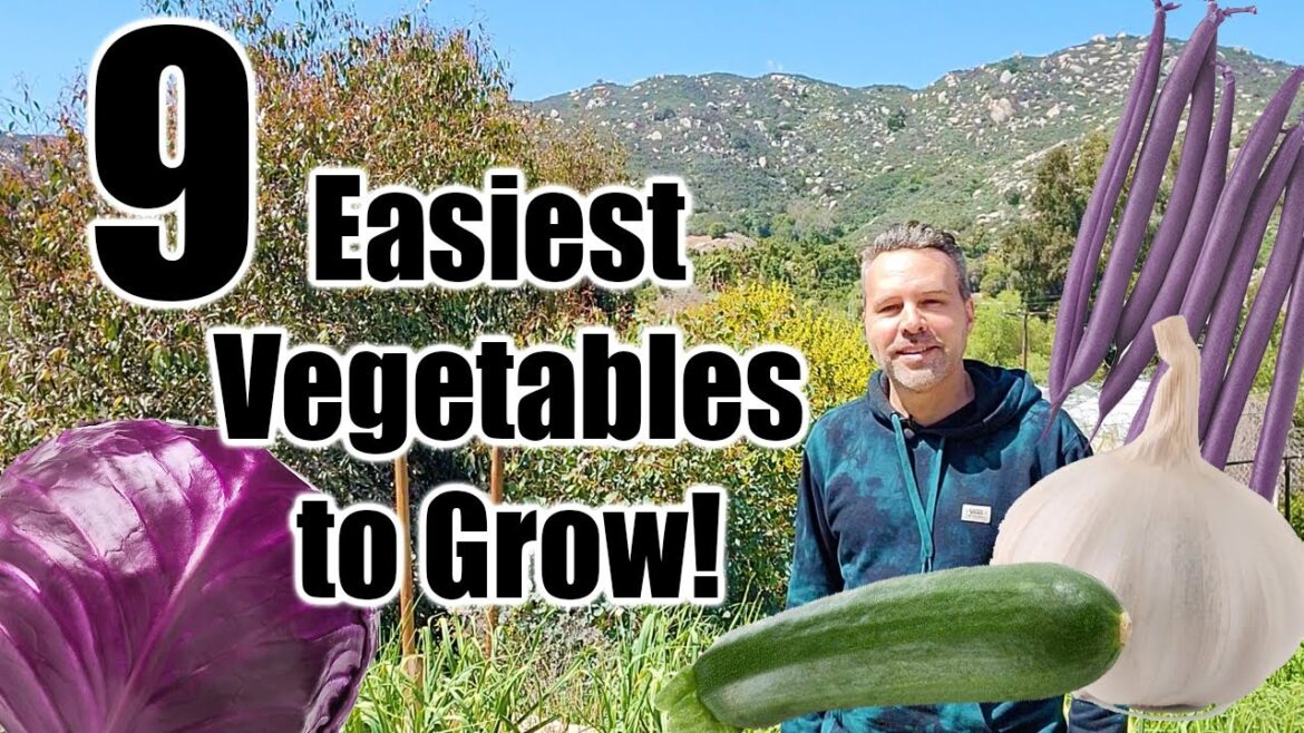 California Garden TV: 9 Easiest Vegetables to Grow 9 Easiest Vegetables to Grow