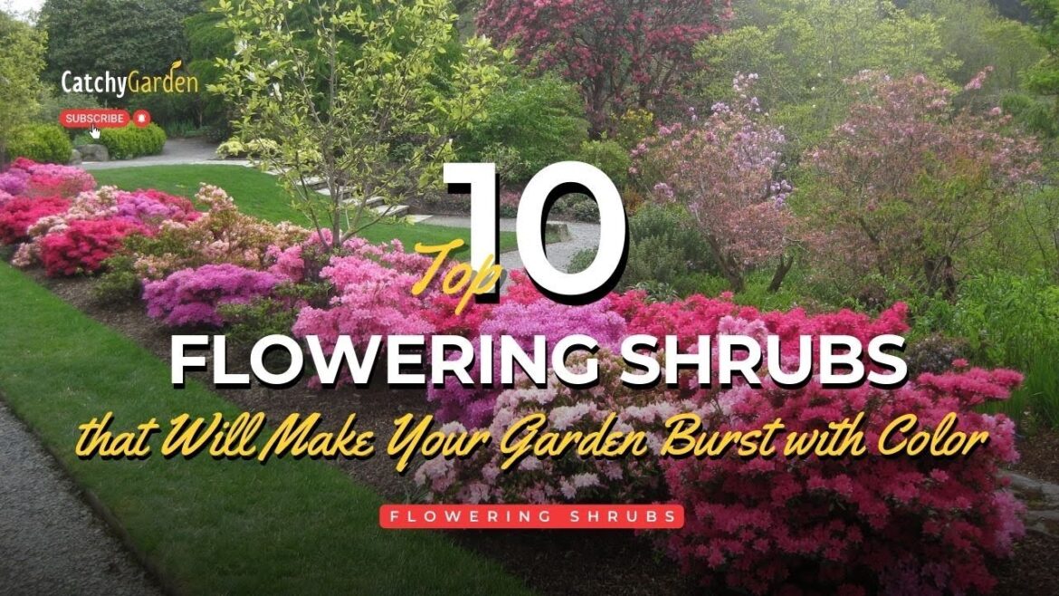 10 Flowering Shrubs That Will Make Your Garden Burst with Color 🌺🌷🌸